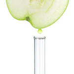 5% Swiss Apple Stem Cells (Uttwiler Spätlauber)