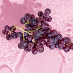 5% Resveratrol & 2% Gotu Kola Extract