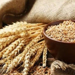 Glycerin + Hydrolyzed Wheat Protein