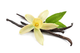 a11118.png__PID:afd087fc-736f-4778-9d67-efe664f36c46