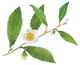 synthes-removebg-preview.png__PID:7fa3c0ab-0cde-4aad-812b-55b4b827c2aa